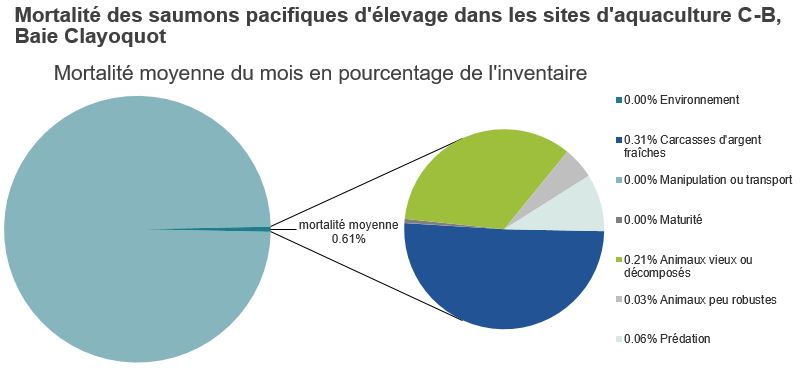 Mortalité des saumons pacifiques d'élevage dans les sites d'aquaculture C-B, Baie Clayoquot