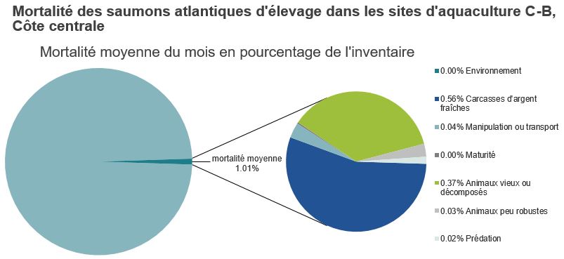 Mortalité des saumons atlantiques d'élevage dans les sites d'aquaculture C-B, Côte centrale 