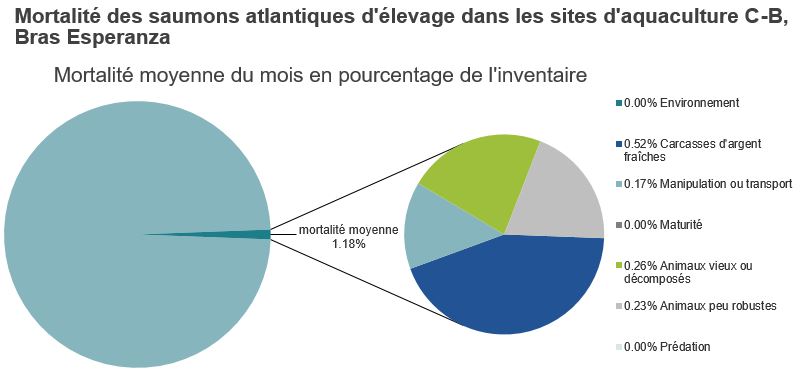 Mortalité des saumons atlantiques d'élevage dans les sites d'aquaculture C-B, Bras Esperanza