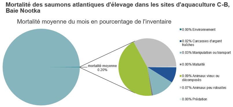 Mortalité des saumons atlantiques d'élevage dans les sites d'aquaculture C-B, Baie Nootka