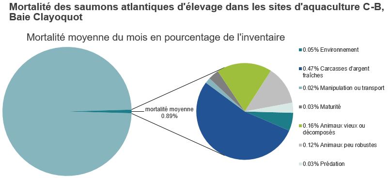 Mortalité des saumons atlantiques d'élevage dans les sites d'aquaculture C-B, Baie Clayoquot