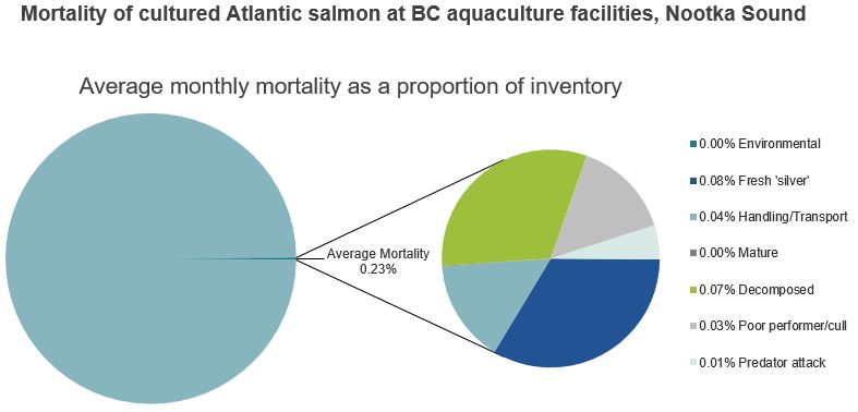 Mortality of cultured Atlantic salmon at BC aquaculture facilities, Nootka Sound