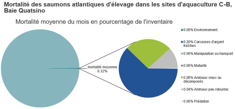 Mortalité des saumons atlantiques d'élevage dans les sites d'aquaculture C-B, Baie Quatsino