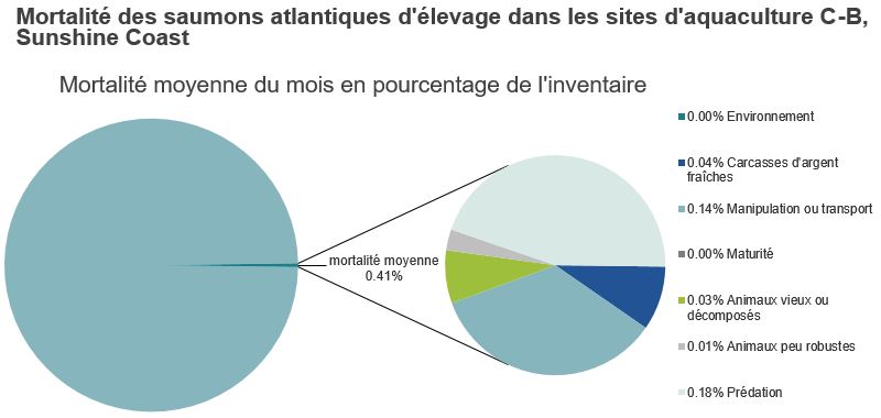 Mortalité des saumons atlantiques d'élevage dans les sites d'aquaculture C-B, Sunshine Coast