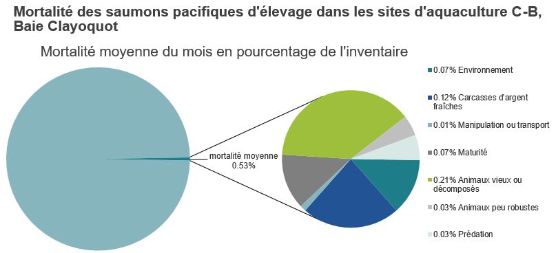 Mortalité des saumons pacifiques d'élevage dans les sites d'aquaculture C-B, Baie Clayoquot