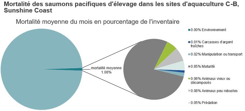 Mortalité des saumons pacifiques d'élevage dans les sites d'aquaculture C-B, Sunshine Coast