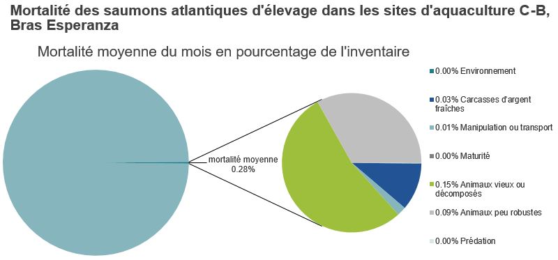 Mortalité des saumons atlantiques d'élevage dans les sites d'aquaculture C-B, Bras Esperanza