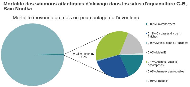 Mortalité des saumons atlantiques d'élevage dans les sites d'aquaculture C-B, Baie Nootka