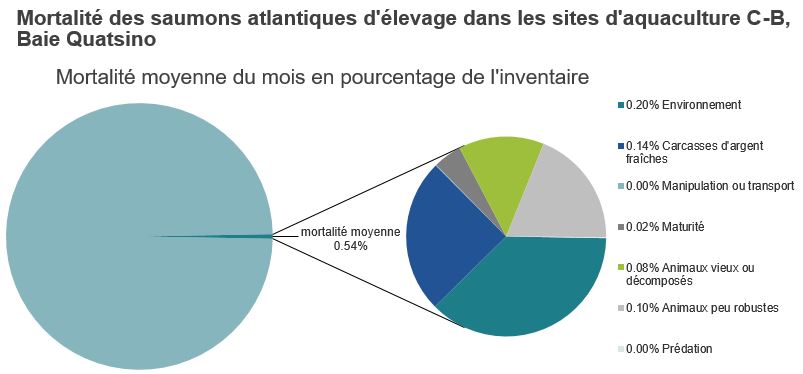 Mortalité des saumons atlantiques d'élevage dans les sites d'aquaculture C-B, Baie Quatsino