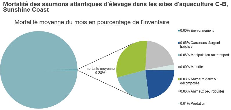 Mortalité des saumons atlantiques d'élevage dans les sites d'aquaculture C-B, Sunshine Coast