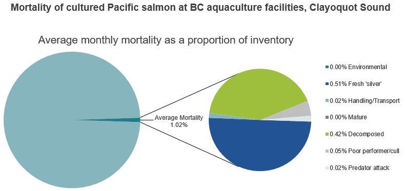 Mortality of cultured Pacific salmon at BC aquaculture facilities, Clayoquot Sound