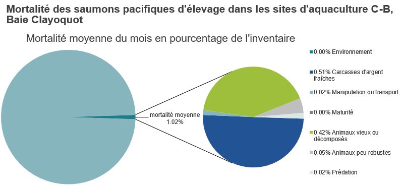 Mortalité des saumons pacifiques d'élevage dans les sites d'aquaculture C-B, Baie Clayoquot