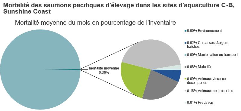 Mortalité des saumons pacifiques d'élevage dans les sites d'aquaculture C-B, Sunshine Coast