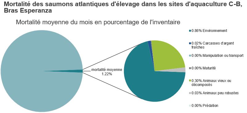 Mortalité des saumons atlantiques d'élevage dans les sites d'aquaculture C-B, Bras Esperanza