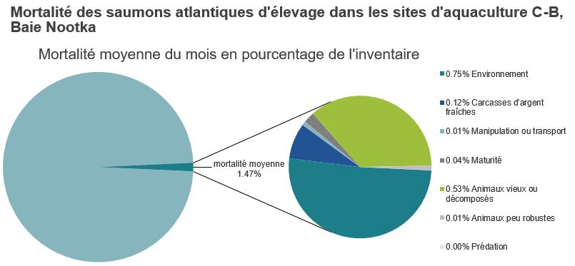Mortalité des saumons atlantiques d'élevage dans les sites d'aquaculture C-B, Baie Nootka