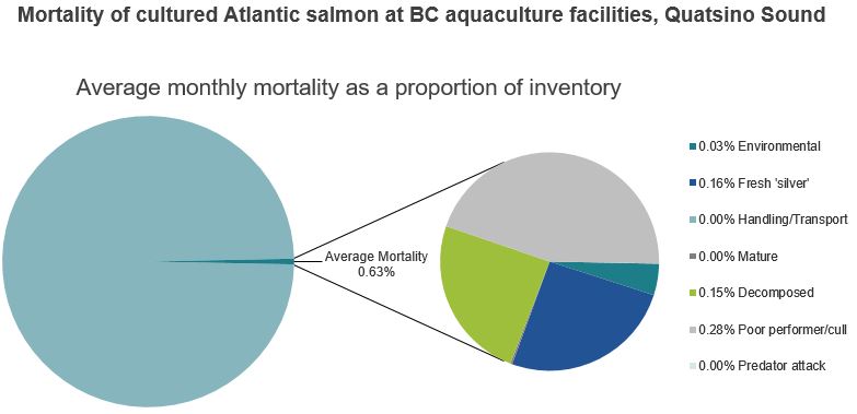 Mortality of cultured Atlantic salmon at BC aquaculture facilities, Quatsino Sound