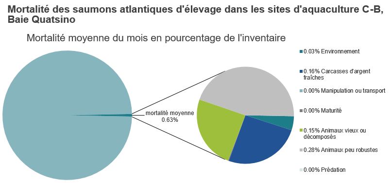 Mortalité des saumons atlantiques d'élevage dans les sites d'aquaculture C-B, Baie Quatsino
