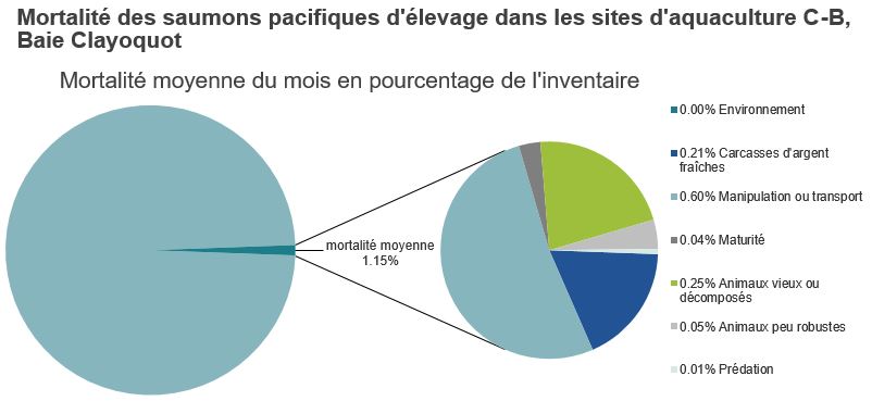 Mortalité des saumons pacifiques d'élevage dans les sites d'aquaculture C-B, Baie Clayoquot