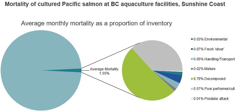 Mortality of cultured Pacific salmon at BC aquaculture facilities, Sunshine Coast