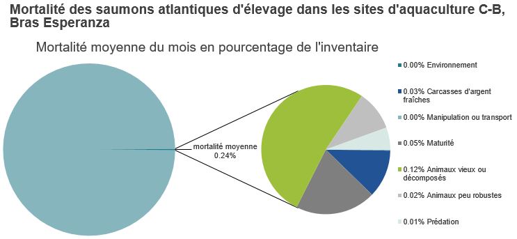 Mortalité des saumons atlantiques d'élevage dans les sites d'aquaculture C-B, Bras Esperanza