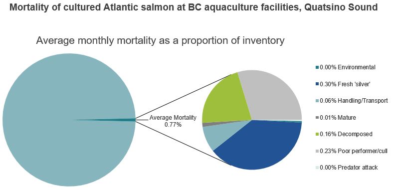 Mortality of cultured Atlantic salmon at BC aquaculture facilities, Quatsino Sound