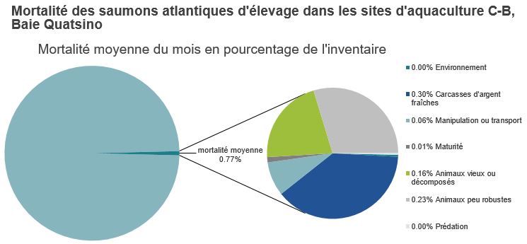 Mortalité des saumons atlantiques d'élevage dans les sites d'aquaculture C-B, Baie Quatsino