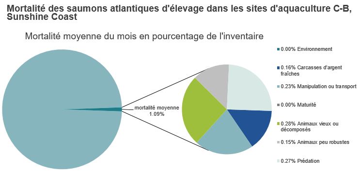 Mortalité des saumons atlantiques d'élevage dans les sites d'aquaculture C-B, Sunshine Coast