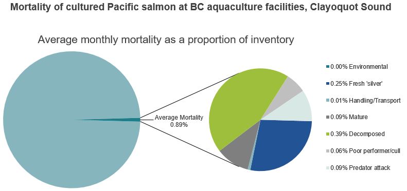 Mortality of cultured Pacific salmon at BC aquaculture facilities, Clayoquot Sound