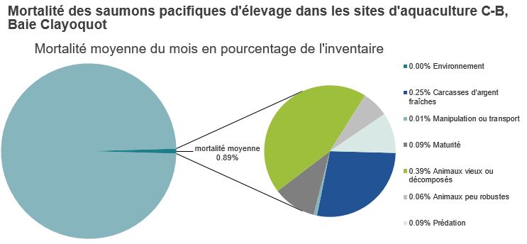 Mortalité des saumons pacifiques d'élevage dans les sites d'aquaculture C-B, Baie Clayoquot