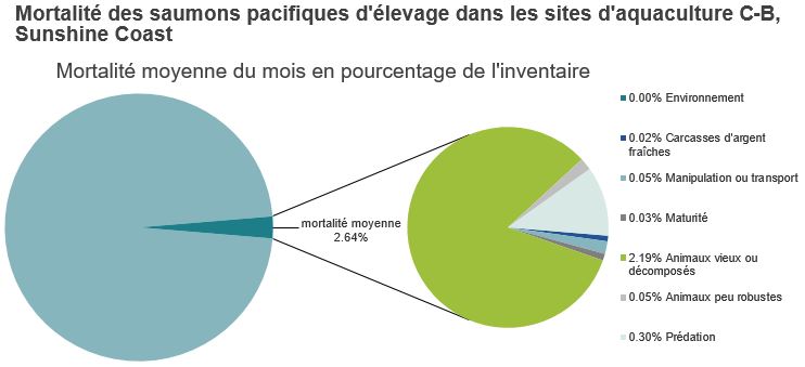 Mortalité des saumons pacifiques d'élevage dans les sites d'aquaculture C-B, Sunshine Coast
