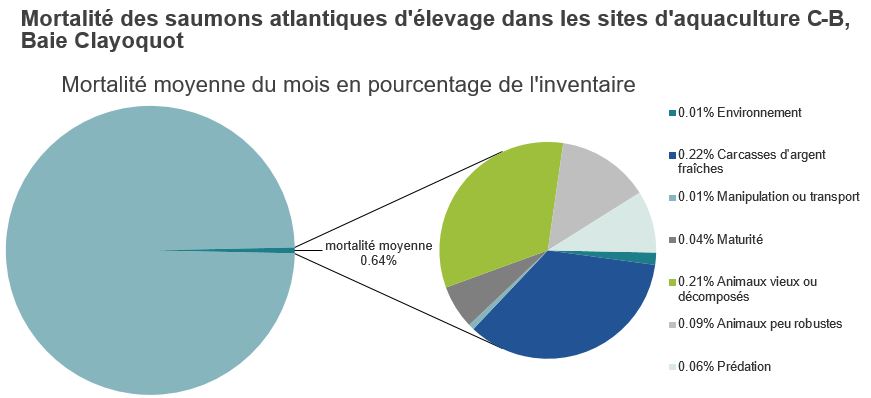 Mortalité des saumons atlantiques d'élevage dans les sites d'aquaculture C-B, Baie Clayoquot