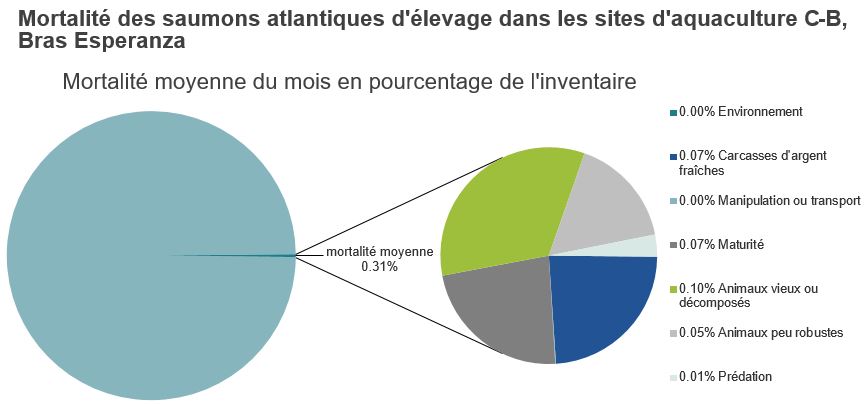 Mortalité des saumons atlantiques d'élevage dans les sites d'aquaculture C-B, Bras Esperanza