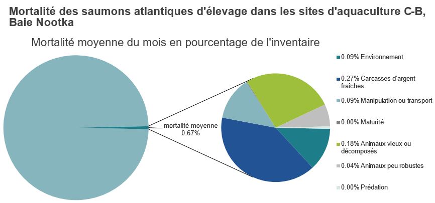 Mortalité des saumons atlantiques d'élevage dans les sites d'aquaculture C-B, Baie Nootka