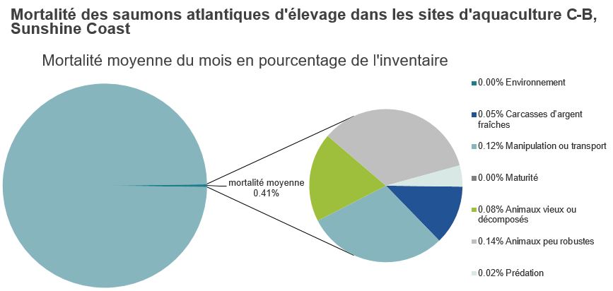 Mortalité des saumons atlantiques d'élevage dans les sites d'aquaculture C-B, Sunshine Coast
