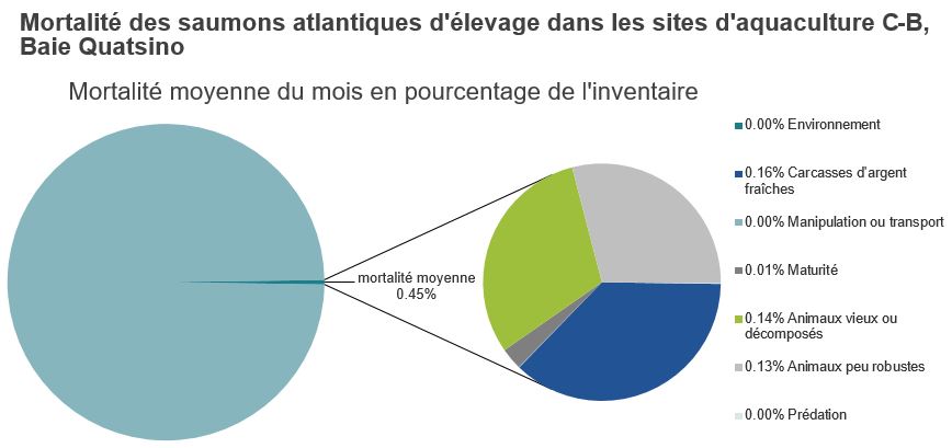 Mortalité des saumons atlantiques d'élevage dans les sites d'aquaculture C-B, Baie Quatsino