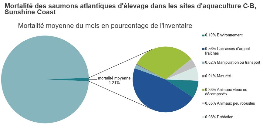 Mortalité des saumons atlantiques d'élevage dans les sites d'aquaculture C-B, Sunshine Coast