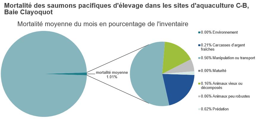 Mortalité des saumons pacifiques d'élevage dans les sites d'aquaculture C-B, Baie Clayoquot