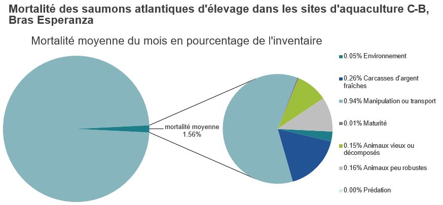 Mortalité des saumons atlantiques d'élevage dans les sites d'aquaculture C-B, Bras Esperanza