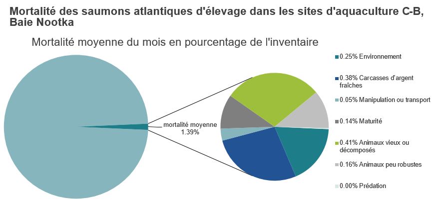Mortalité des saumons atlantiques d'élevage dans les sites d'aquaculture C-B, Baie Nootka