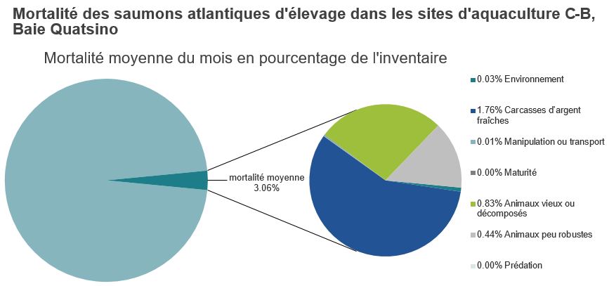 Mortalité des saumons atlantiques d'élevage dans les sites d'aquaculture C-B, Baie Quatsino