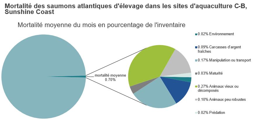 Mortalité des saumons atlantiques d'élevage dans les sites d'aquaculture C-B, Sunshine Coast