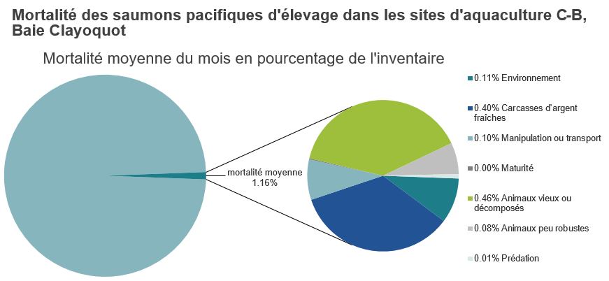 Mortalité des saumons pacifiques d'élevage dans les sites d'aquaculture C-B, Baie Clayoquot