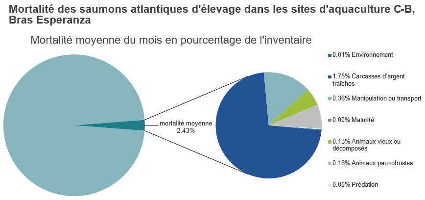 Mortalité des saumons atlantiques d'élevage dans les sites d'aquaculture C-B, Bras Esperanza