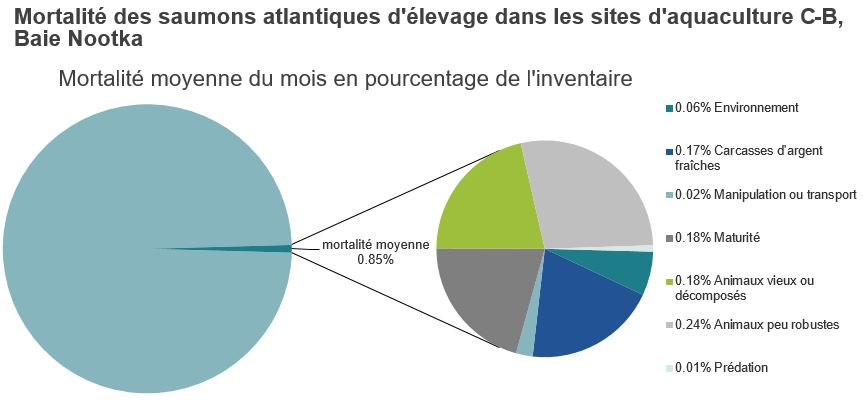 Mortalité des saumons atlantiques d'élevage dans les sites d'aquaculture C-B, Baie Nootka