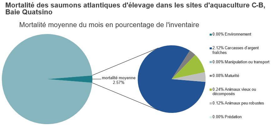 Mortalité des saumons atlantiques d'élevage dans les sites d'aquaculture C-B, Baie Quatsino