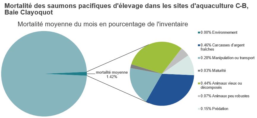 Mortalité des saumons pacifiques d'élevage dans les sites d'aquaculture C-B, Baie Clayoquot
