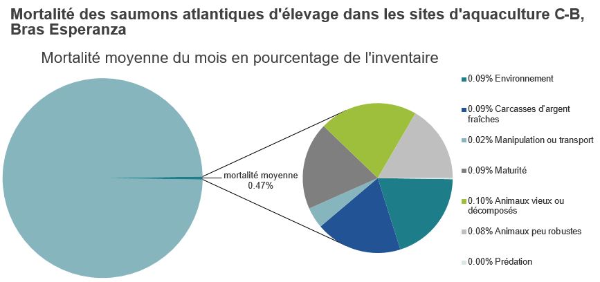 Mortalité des saumons atlantiques d'élevage dans les sites d'aquaculture C-B, Bras Esperanza