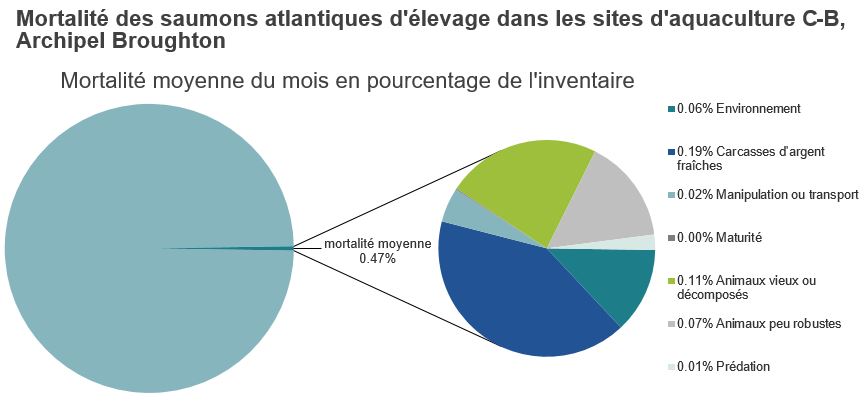 Mortalité des saumons atlantiques d'élevage dans les sites d'aquaculture C-B, Baie Clayoquot