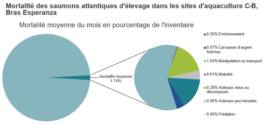 Mortalité des saumons atlantiques d'élevage dans les sites d'aquaculture C-B, Bras Esperanza