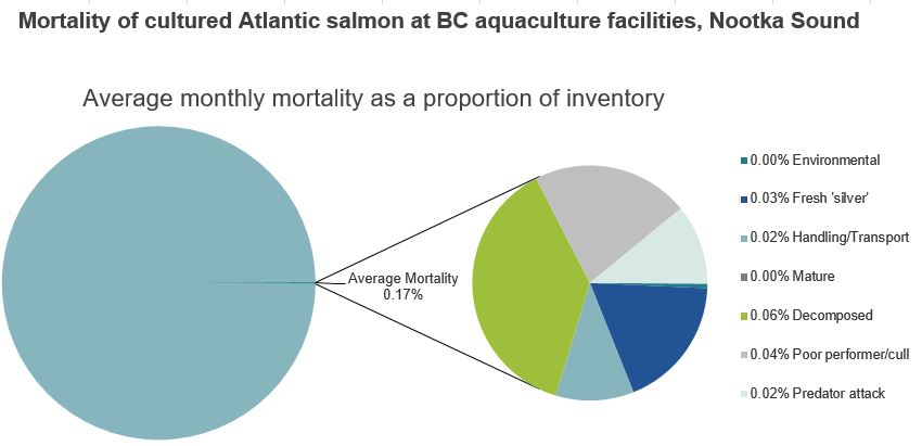 Mortality of cultured Atlantic salmon at BC aquaculture facilities, Nootka Sound